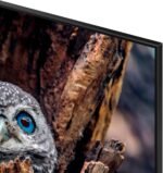 Samsung 55" Class Q80D Series QLED 4K Smart Tizen TV 2024 from Kings Outlet