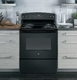 GE 5.0 Cu. Ft. Freestanding Electric Range Black from Kings Outlet