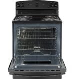 GE 5.0 Cu. Ft. Freestanding Electric Range Black from Kings Outlet
