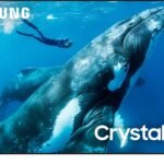 Samsung 98" Class DU9000 Series Crystal UHD Smart Tizen TV 2024 from Kings Outlet